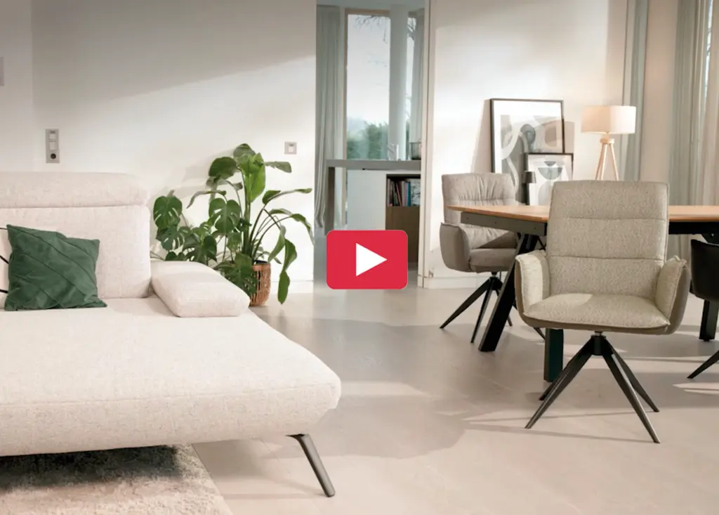 Helles Wohnzimmer mit Sofa links, Esstisch mit Stühlen rechts und Zimmerpflanze nahe der Wand